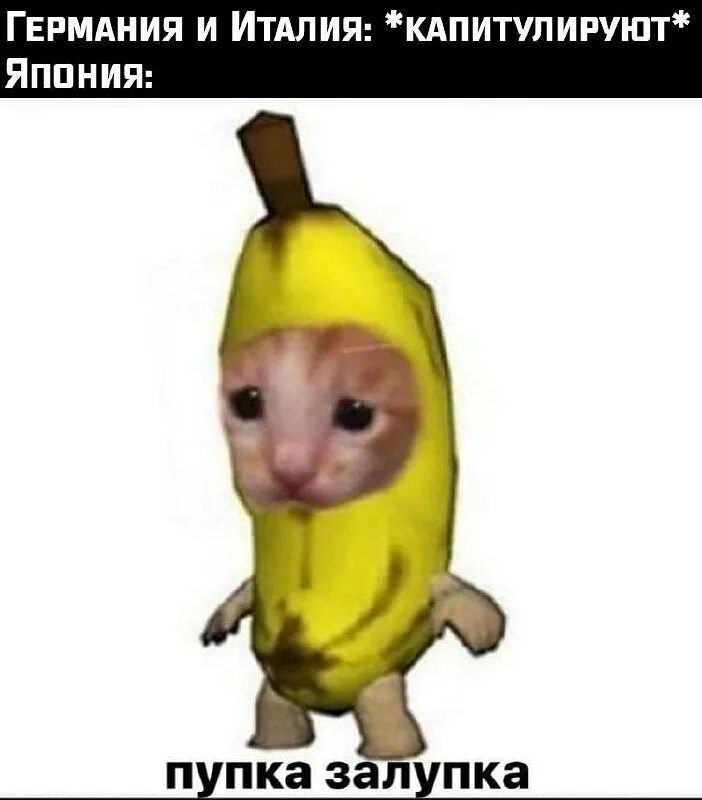 Плачущий кот банан плачет. Кот банан плачет. грустный котик банан. лицо котика в банане. кот в костюме банана плачет.