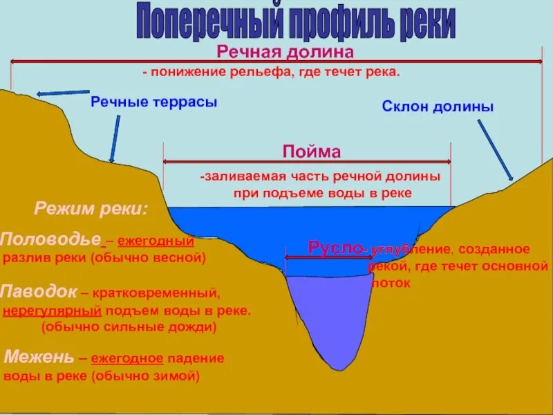 Поперечный профиль реки. Речная Долина. Части Речной Долины. Склон Речной Долины. Направление понижение рельефа