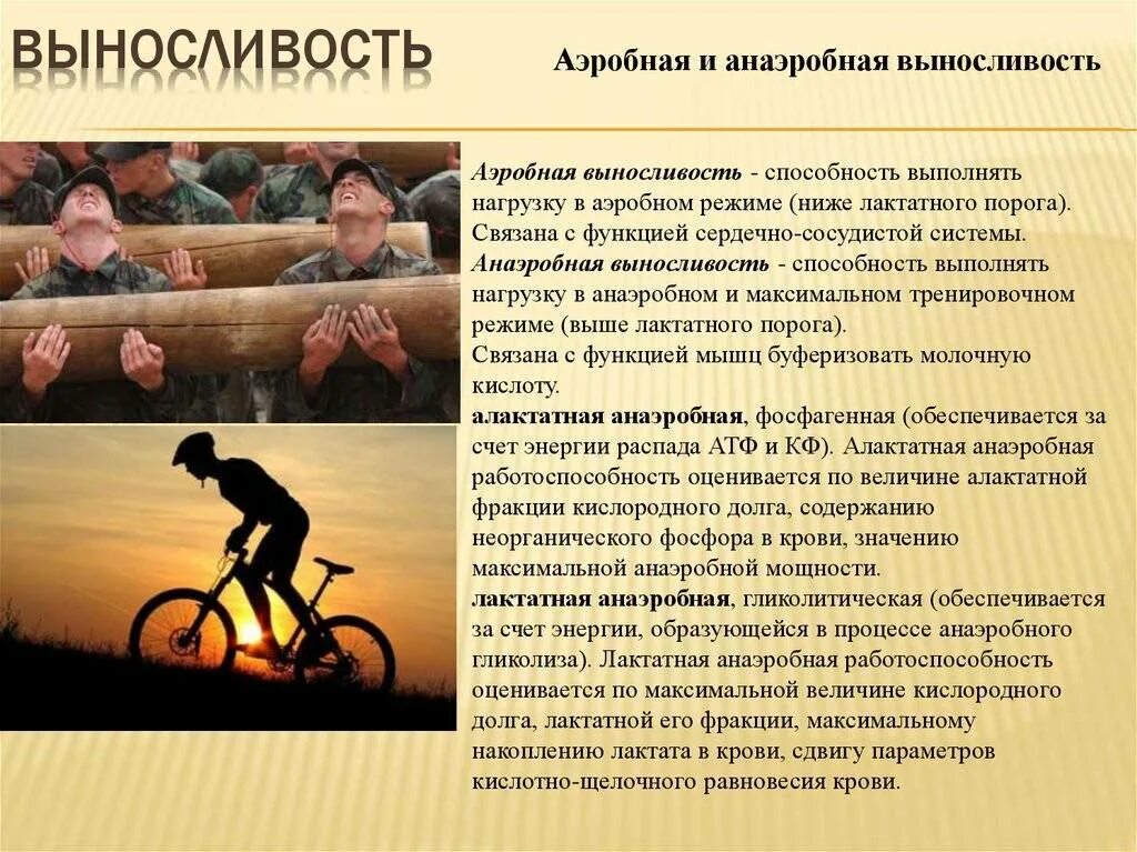 Аэробная выносливость виды