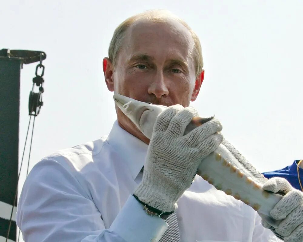Тут же выпустил. Тут же выпустил