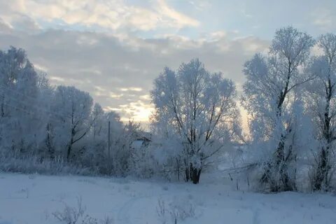 Похолодание декабрь 2023
