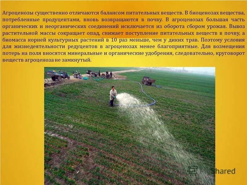 агроценоз замкнутый круговорот