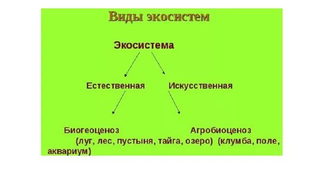 Естественные и искусственные экосистемы. Виды экосистем. Типы экосистем Естественные и искусственные. Виды искусственных экосистем.