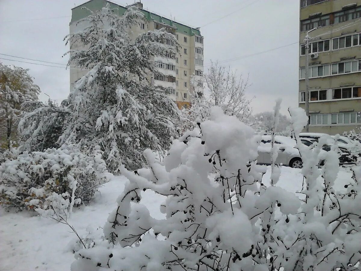 Погода на завтра димитровград ульяновская. Димитровград зима. Зимний Димитровград. Димитровград снег. Димитровград зимой.