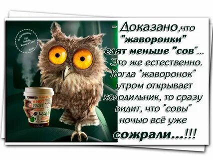 Доброе утро картинки со смыслом смешные