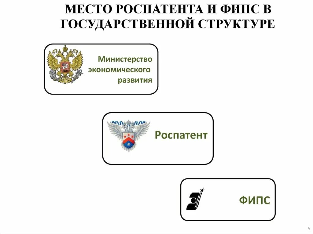 Фипс роспатента. Роспатент структура. Структура ФИПС. Роспатент схема.