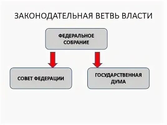 Какой ветви относится государственная дума