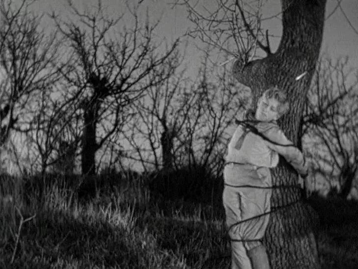 примотали пленкой к дереву. детей привязывали к дереву. привязанная к дереву девочка. привязали к дереву в лесу. мужчина привязан к дереву.