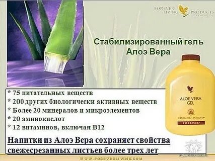 Алоэ каталог
