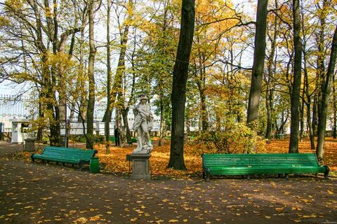 Там в городе есть сад