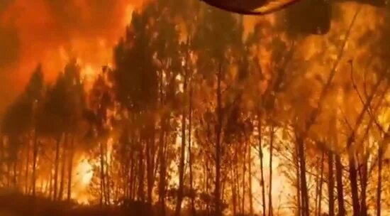 В испании сгорел. Горят леса. Пожары в Испании 2022. Пожары в Европе. Лесной пожар в Сосновом лесу.