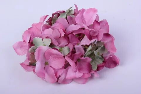 Головки цветов