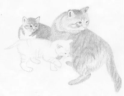 Мама нарисуй котенка