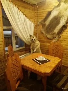 Берлога екатеринбург