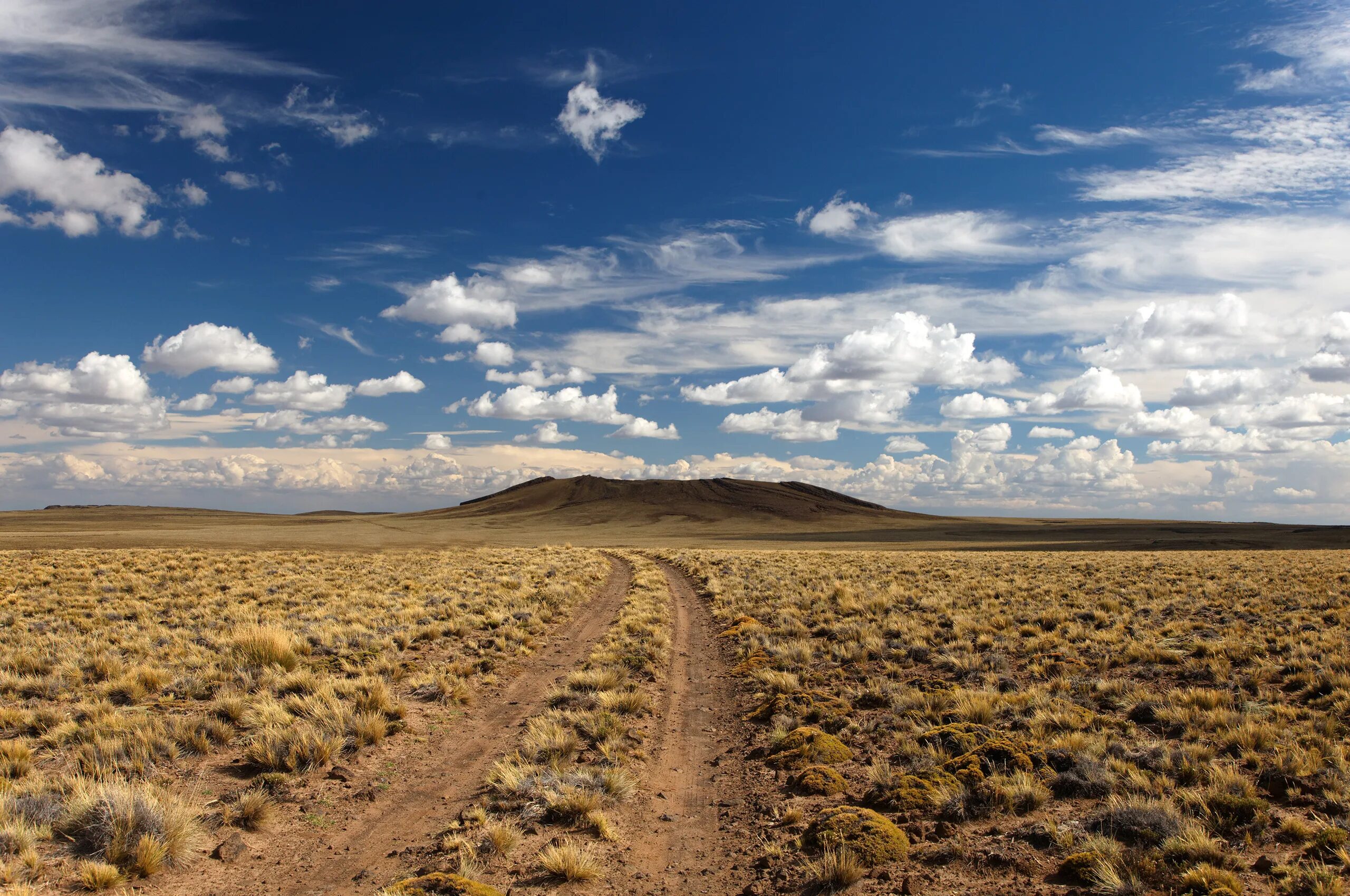 Южные безлесные природные зоны. Штат Канзас природа. Полупустыни Казахстана. Великие равнины Нью Мексико. Лес пустыня степь тундра это.