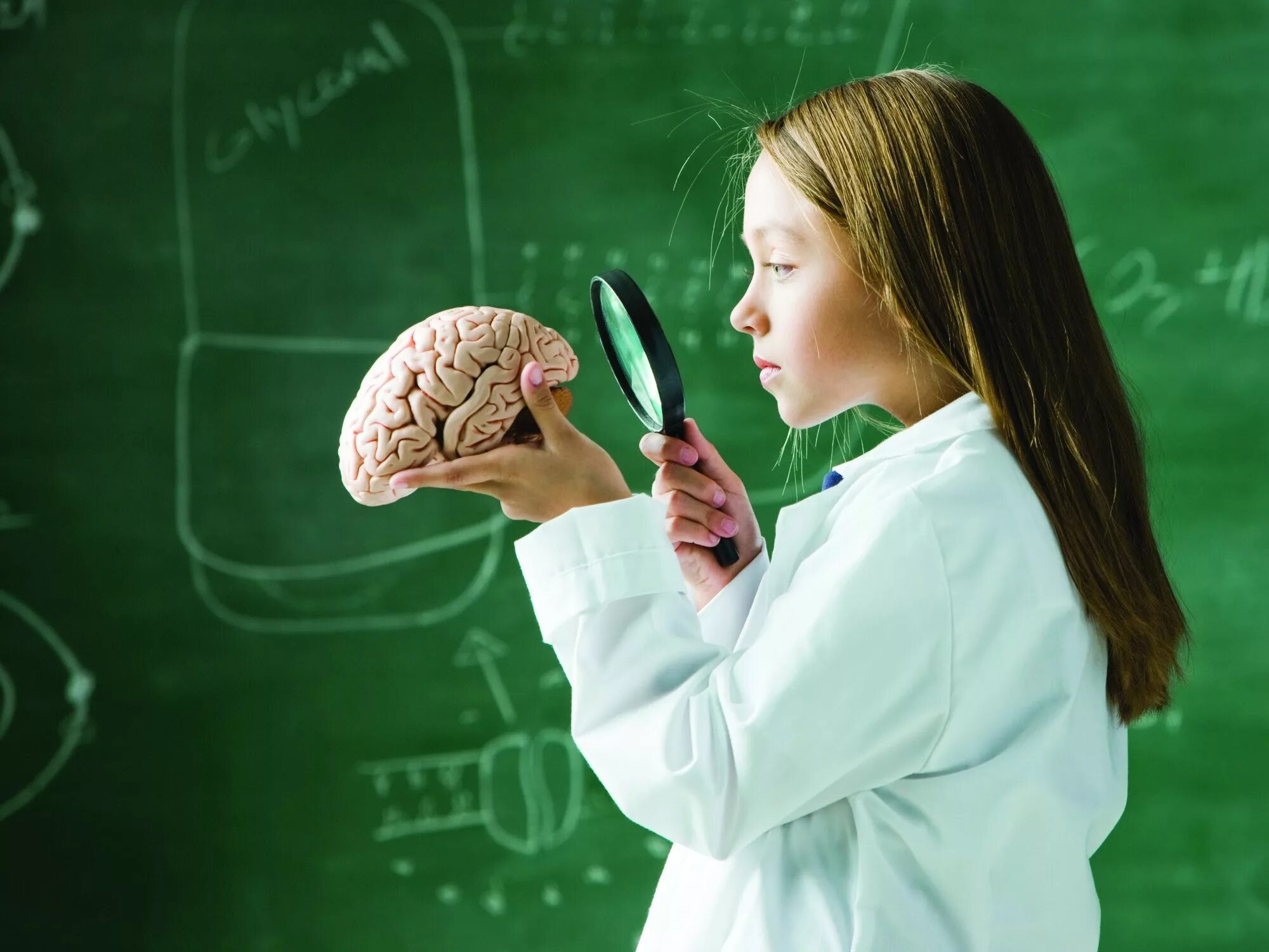 Концентрация внимания подростков. Мозг ребенка. Интеллект ребенка. Интеллектуальные и умственные способности. Урок биологии.