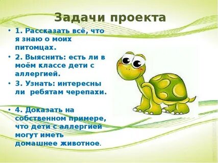 Проект черепаха