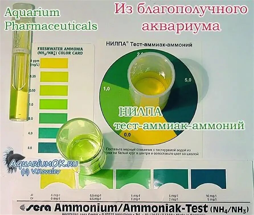 Тест на аммиак в аквариуме Нилпа. Аммиак аммоний в аквариуме. Тест на аммиак аммоний в аквариуме. Аммиак аммоний в аквариуме норма. Содержание аммиака в воде