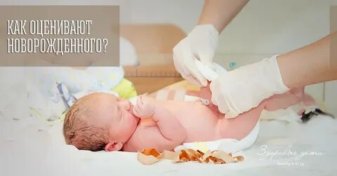 Чем обрабатывать рожу