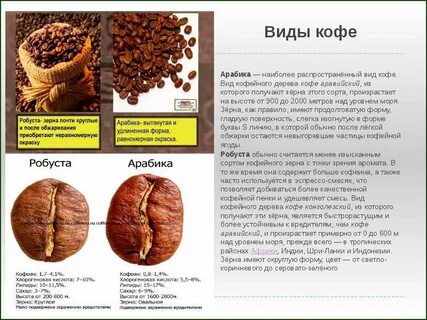 Арабика или робуста что лучше