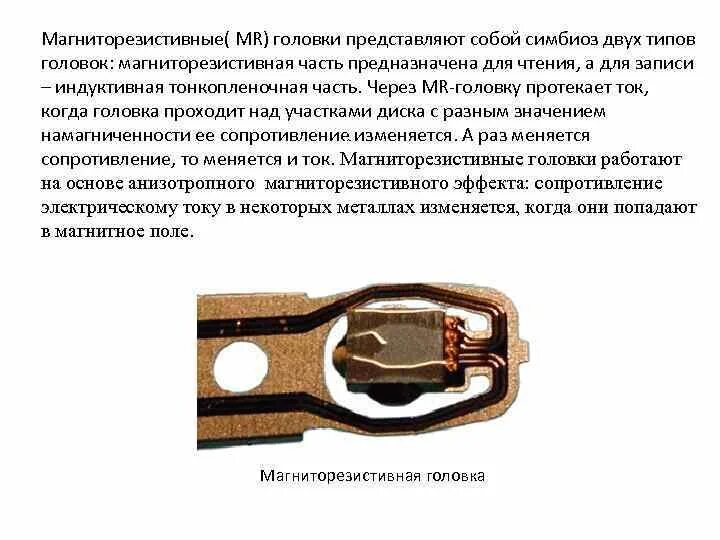 Он представлен чаще всего в