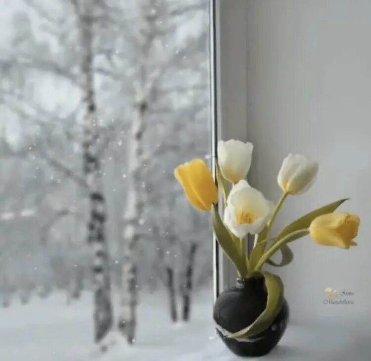 Доброе снежное мартовское утро. Цветы на зимнем подоконнике. Букет цветов на подоконнике зимой. Весенние цветы на окне. Букет весны на окне.