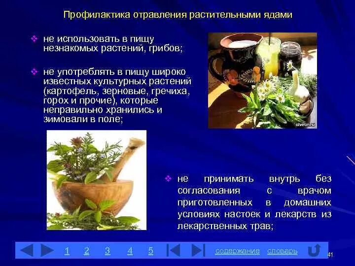 Растительный яд содержащий