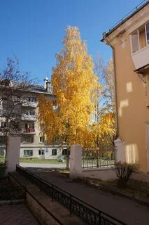 Трехгорный время