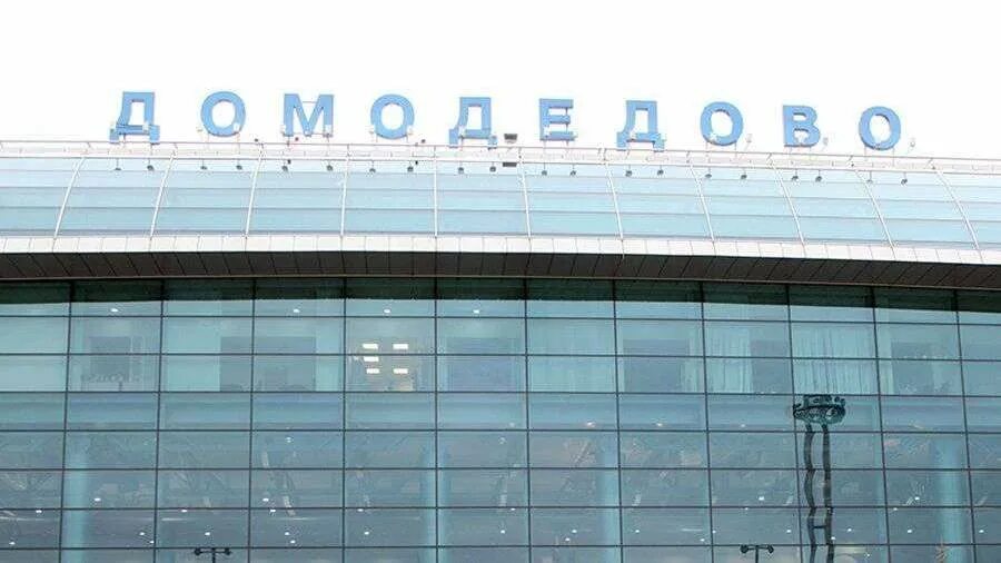 схема грузового терминала аэропорта. аэропортдамодедово внутри. аэропорт домодедово зал регистрации. почта аэропорт домодедово. почта аэропорт домодедово.