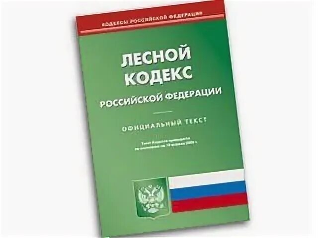 Лесное законодательство рф. Лесной кодекс РФ. Лесной кодекс Российской Федерации. Лесное законодательство. Лесной кодекс РФ книга.