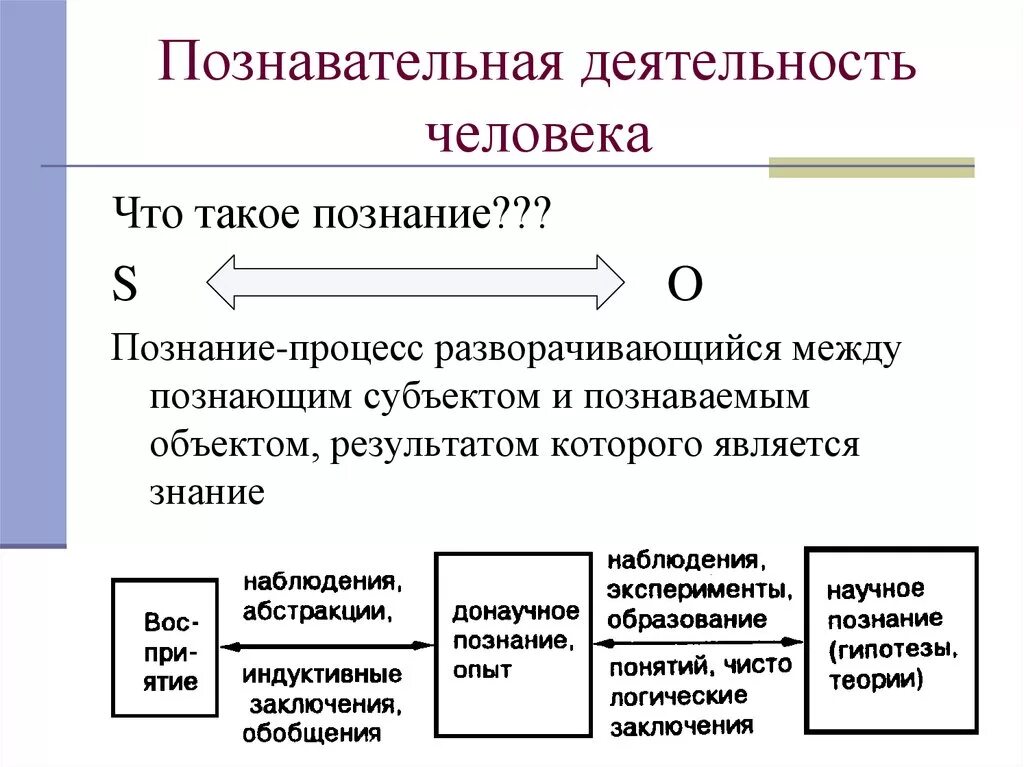 Высший процесс познавательной деятельности человека