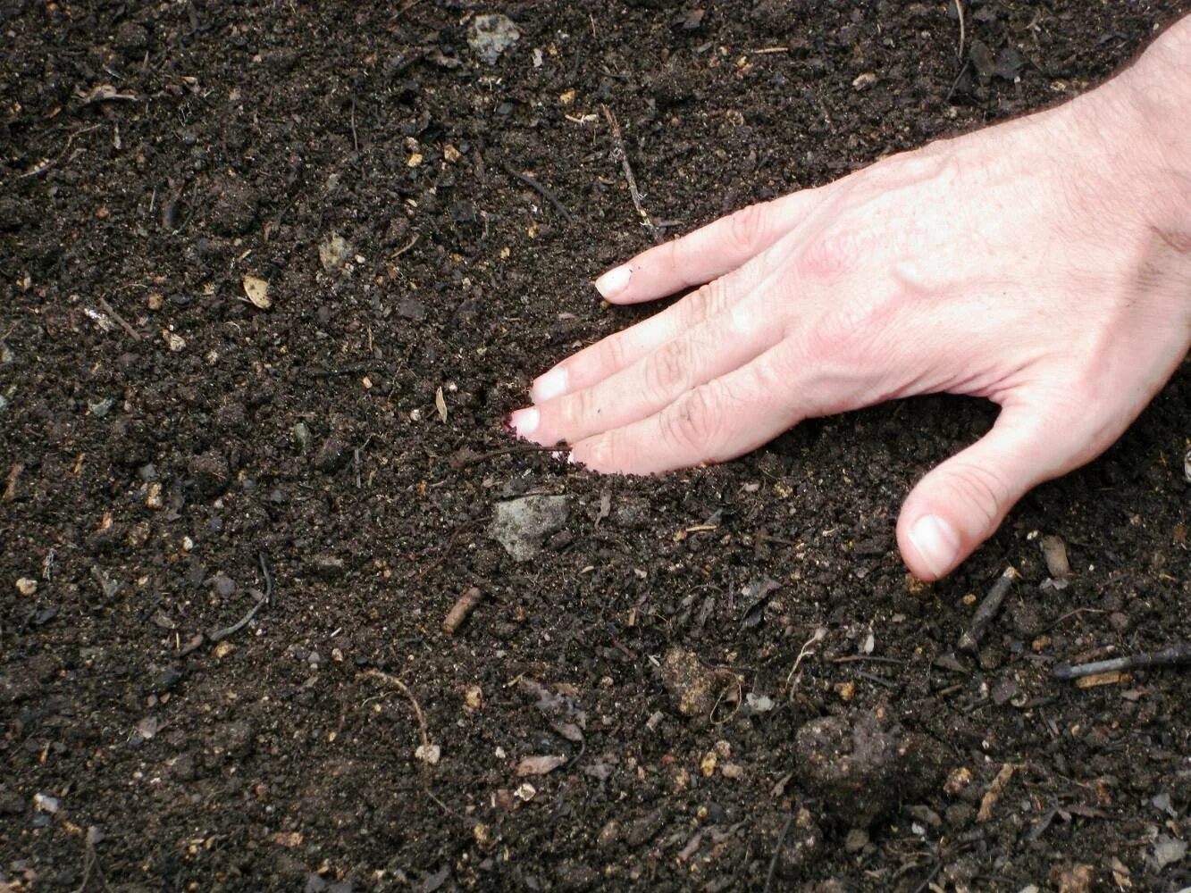Какая почва для жимолости. Подготовка почвы. Почва в саду. Подготовка почвы к посадке. Подготовка почвы для посева семян.