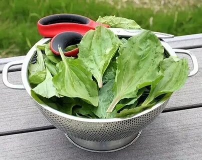 15 полезных