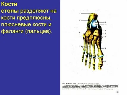 Как отделить кости