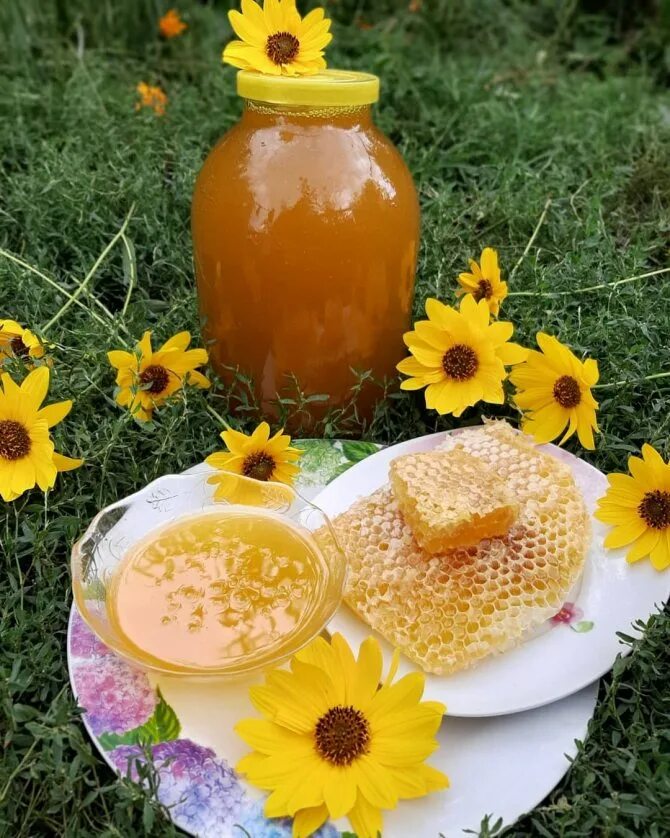 Мед подсолнух. Мёд подсолнечный. Медовый спас. Подсолнечниковый мёд.