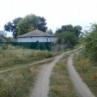 Прилепы пристенского