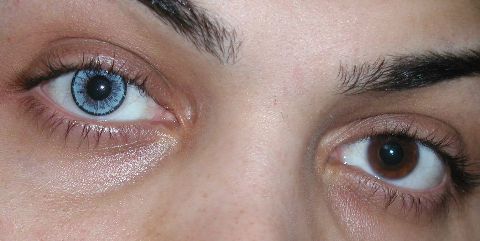 Голубые линзы на карие глаза. Синие линзы на карие глаза. Светлые линзы на карие глаза. Голубые линзы на карие.