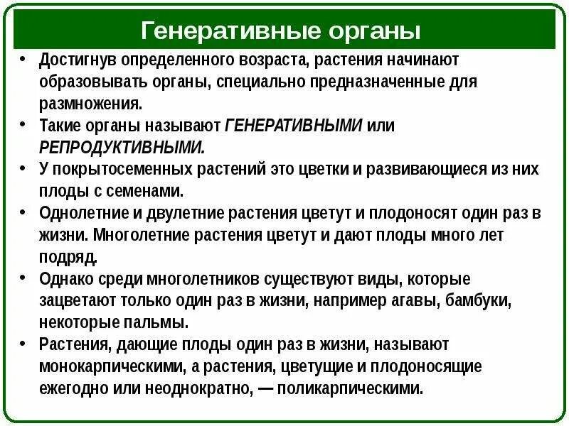 Генеративные органы. Генеративные органы растений. Термин генеративные органы. Функции генеративных органов. Генеративные органы соцветия