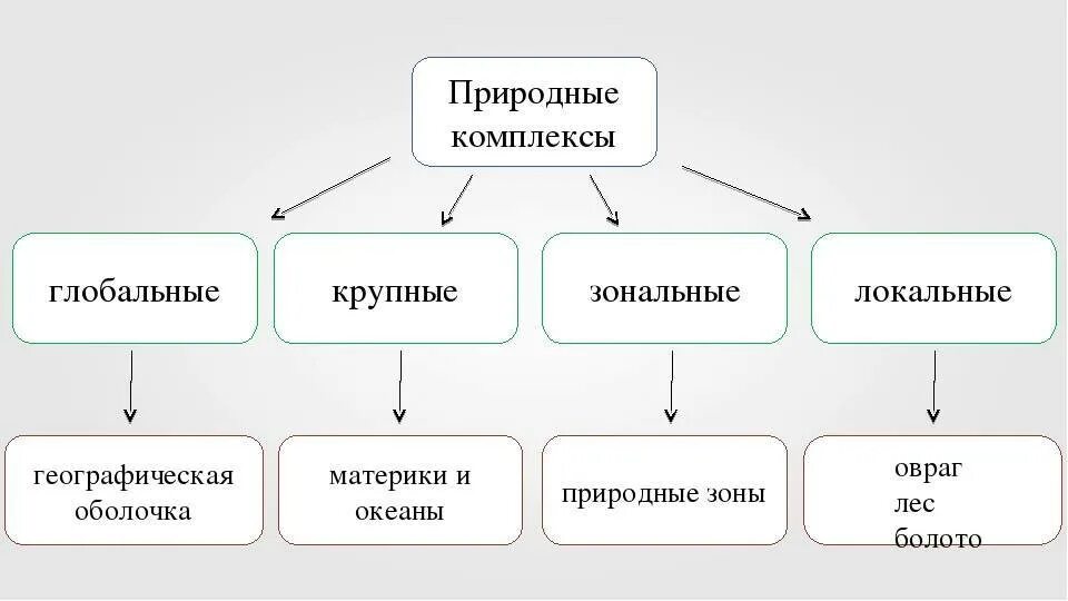 Птк бывают. Глобальные региональные и локальные природные комплексы. Природные комплексы. Схема природного комплекса. Виды природных комплексов.