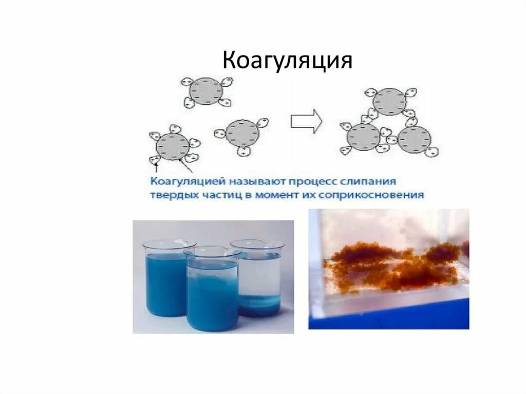 Образование осадка в коллоидных растворах называется