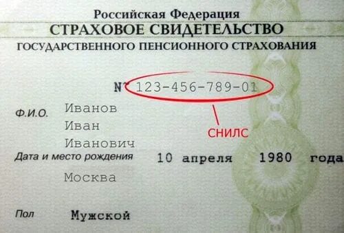 Дата снилса