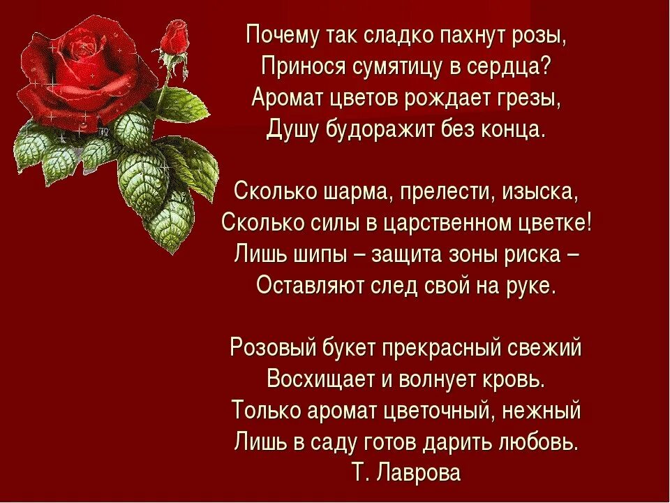 Стихотворение красный цвет. Стих про розу. Стихи о Розе короткие красивые. Стихи про розы короткие. Красивые стихи о цветах розах.