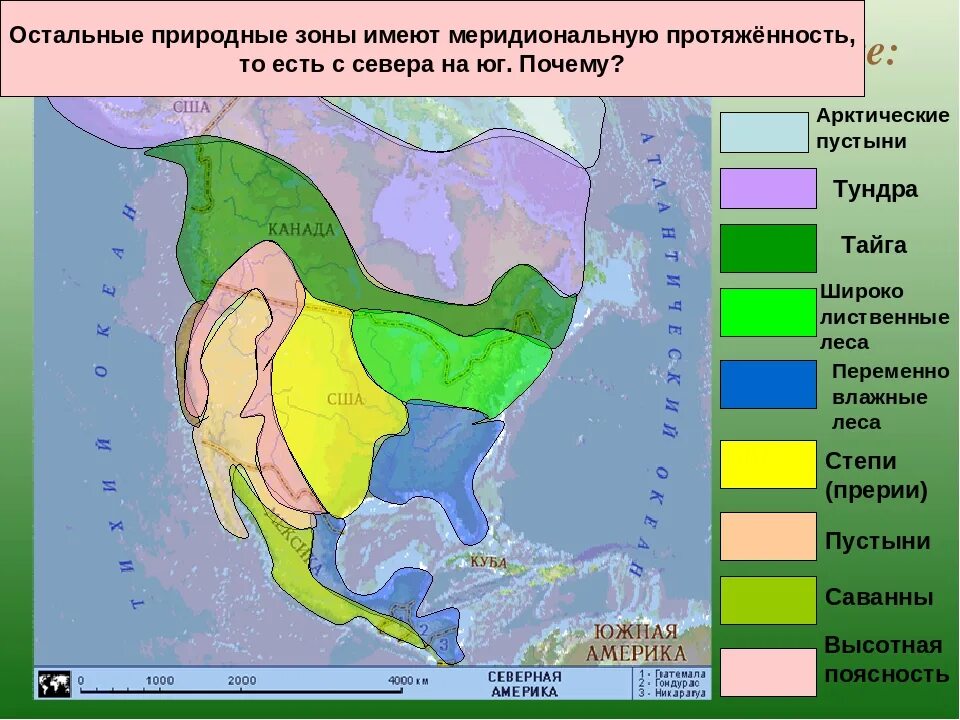 Какие природные зоны есть в северной америке