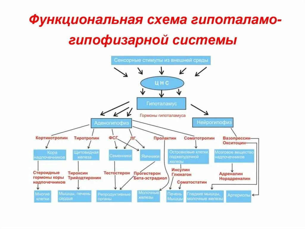 Какое значение этой структуры