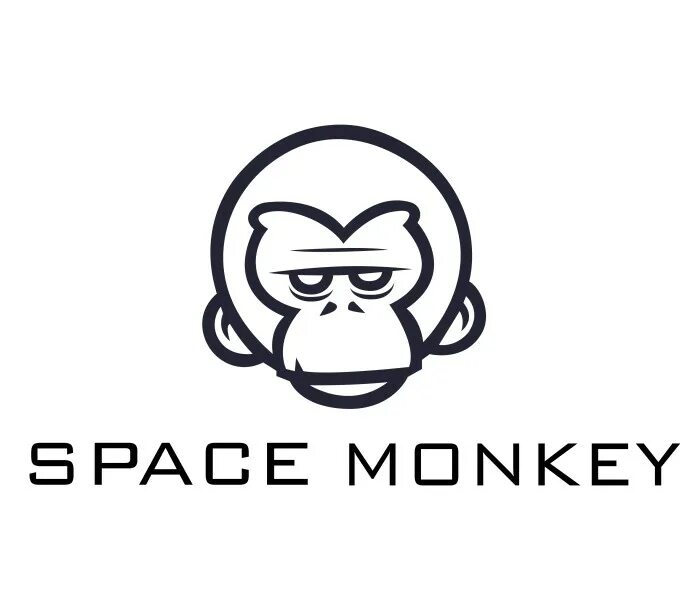 Спейс манки. Space Monkey ашка. Space Monkey Гоа. Space Monkey Томск. Space monkey