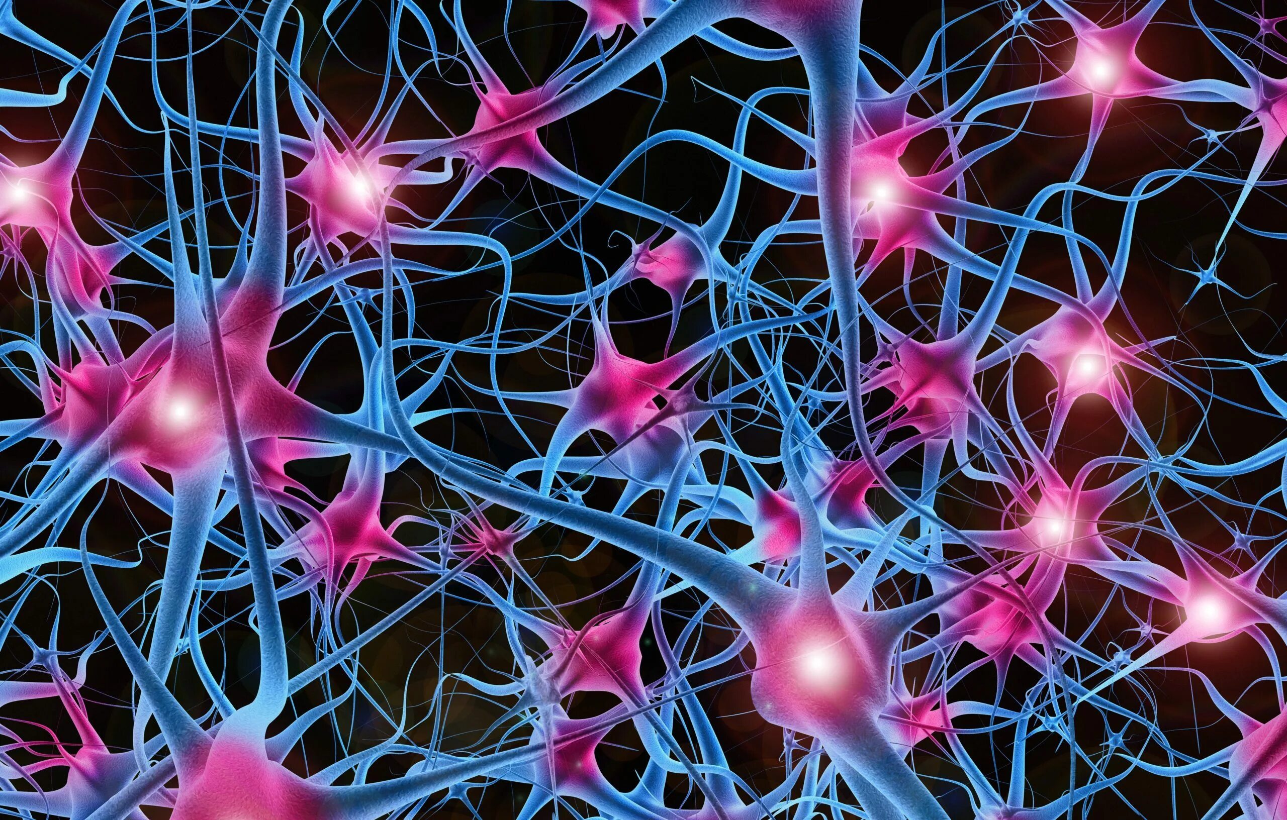 Нервная клетка. Побольше нервных клеток. Побольше нервных клеток. Отростки. Нейронные клетки головного мозга.