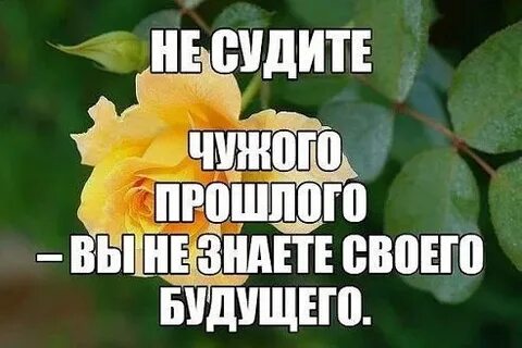 Следи всегда