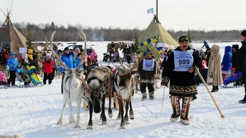Погода в тольке