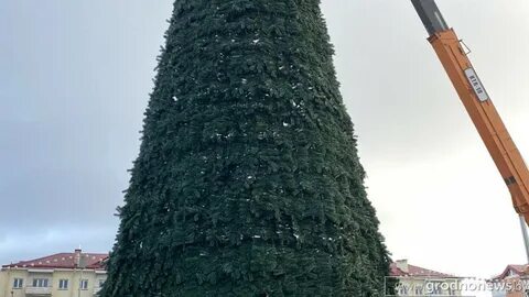 Какую елку ставить