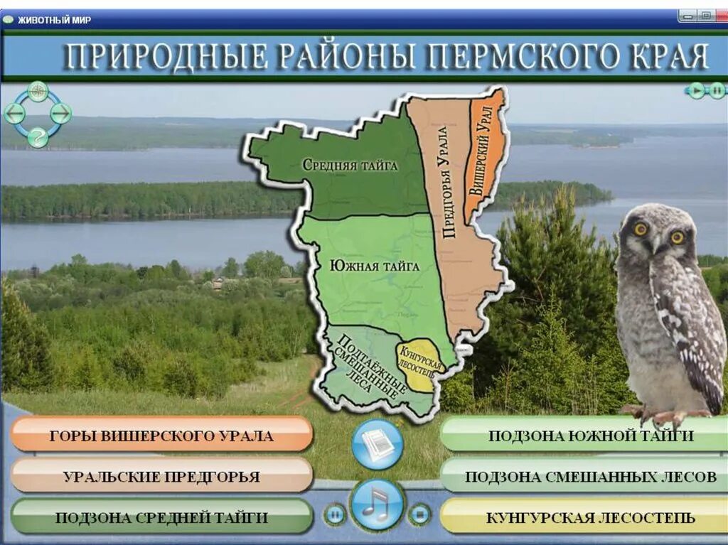 Пермский край находится в зоне. Природные зоны Пермского края карта. Пермь природная зона. Природные районы Пермского края. Пермский край животный мир карта.